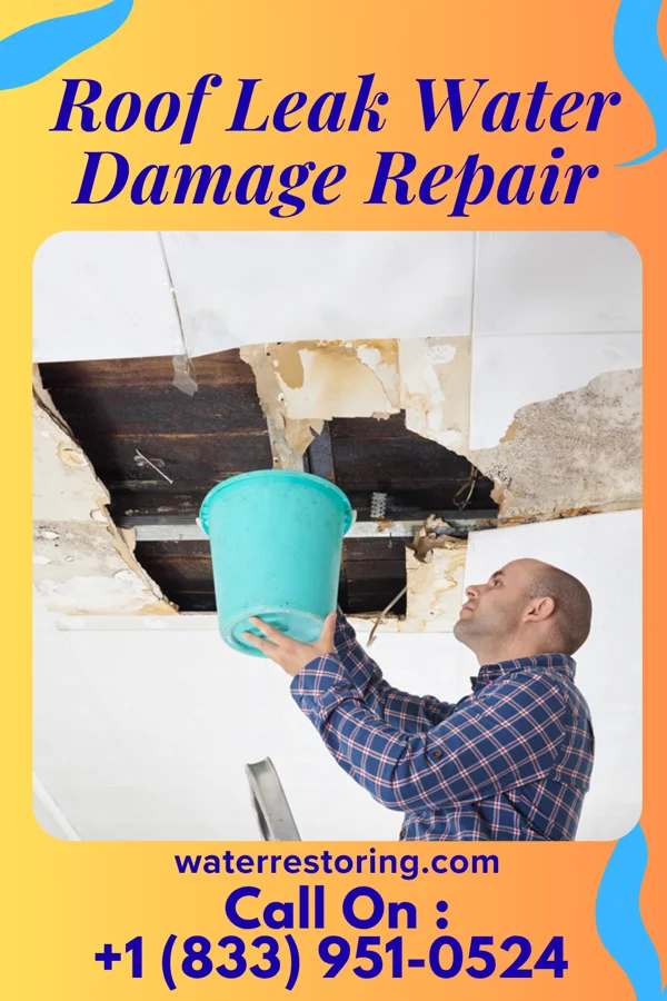 Roof Leak Water Damage Repair in Kountze, TX